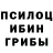 Галлюциногенные грибы Psilocybe Arteom Tee