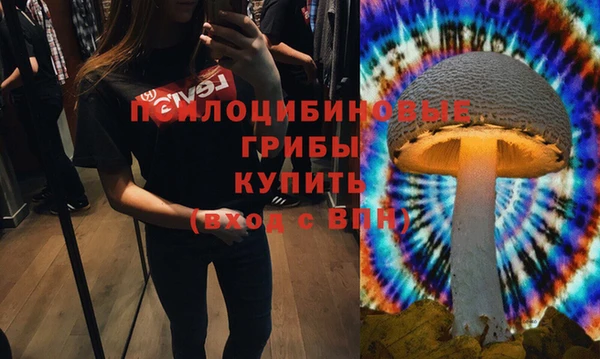 круглые Магас