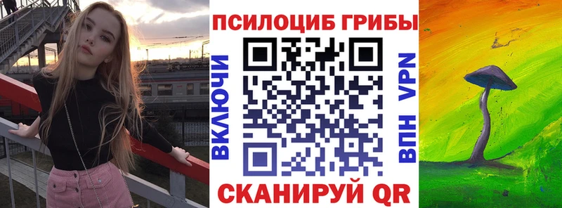 Псилоцибиновые грибы GOLDEN TEACHER  закладка  Берёзовка 